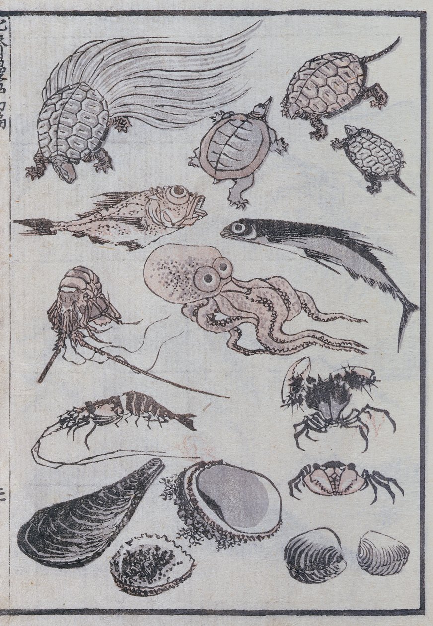 海底生物，来自漫画（彩色木版画） 作者 葛饰北斋