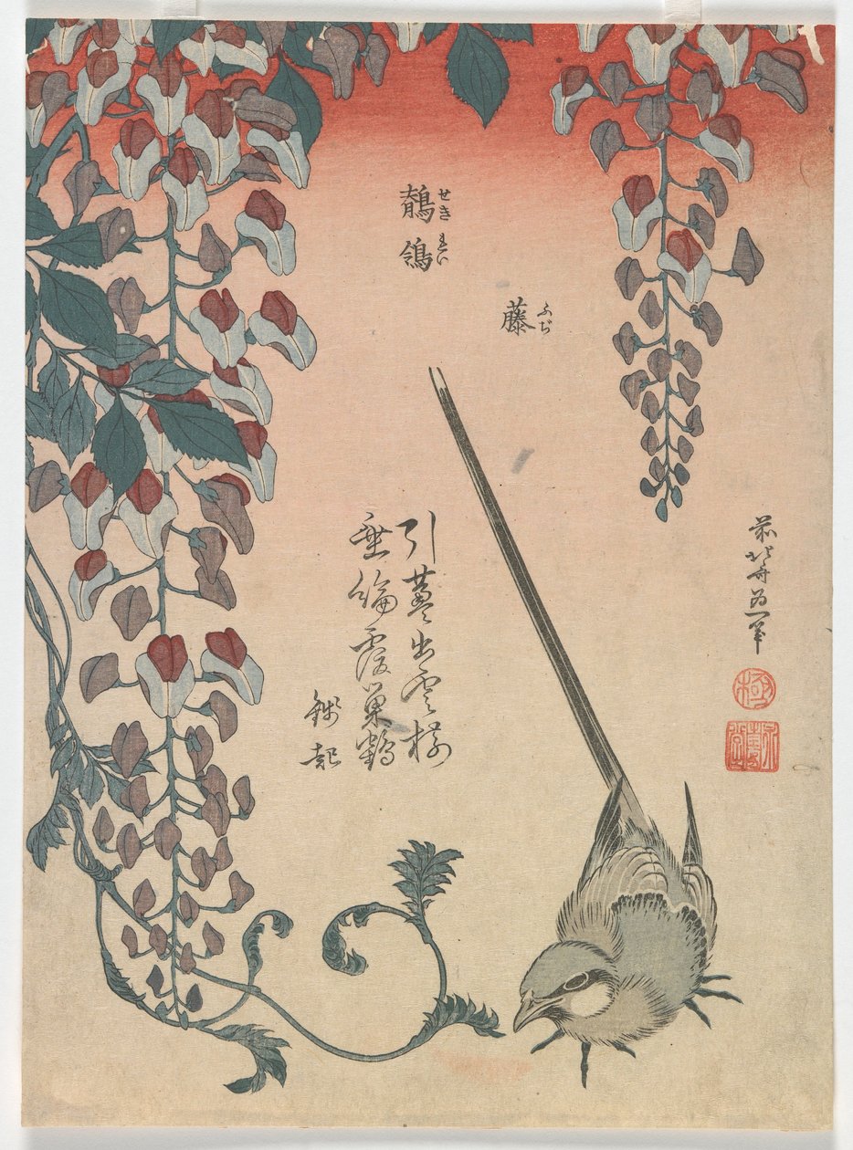 江边和紫藤，江户时代，1834年（彩色木版画） 作者 葛饰北斋