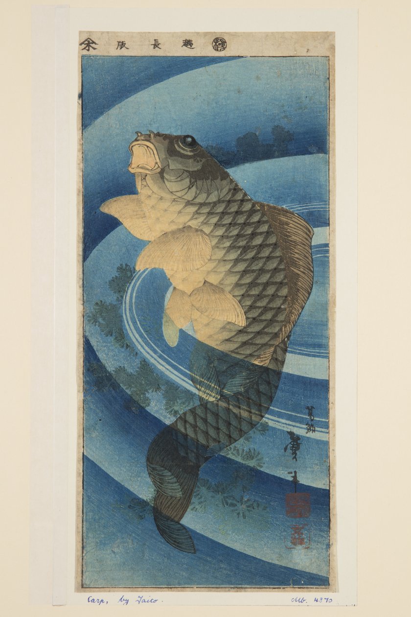 鲤鱼（彩色木版画） 作者 葛饰二世（FL.1820-50）台东