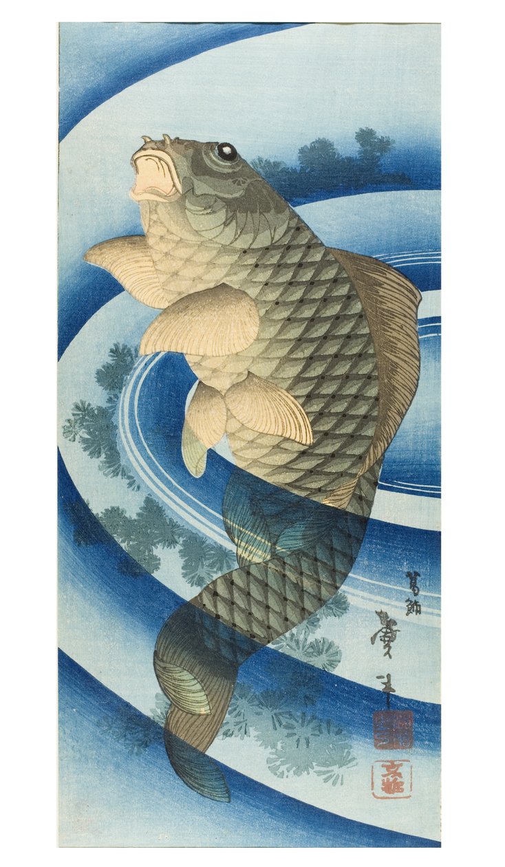 鲤鱼 作者 葛饰二世（FL.1820-50）台东