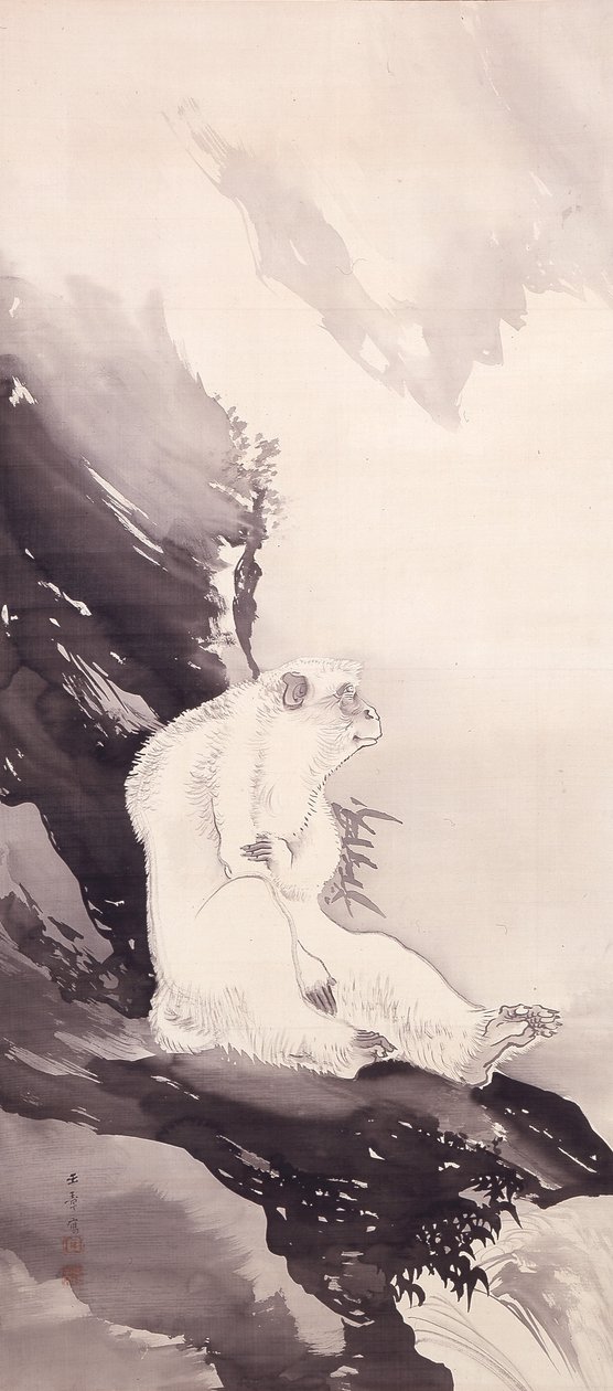 白猴（绢本水墨） 作者 川端玉书