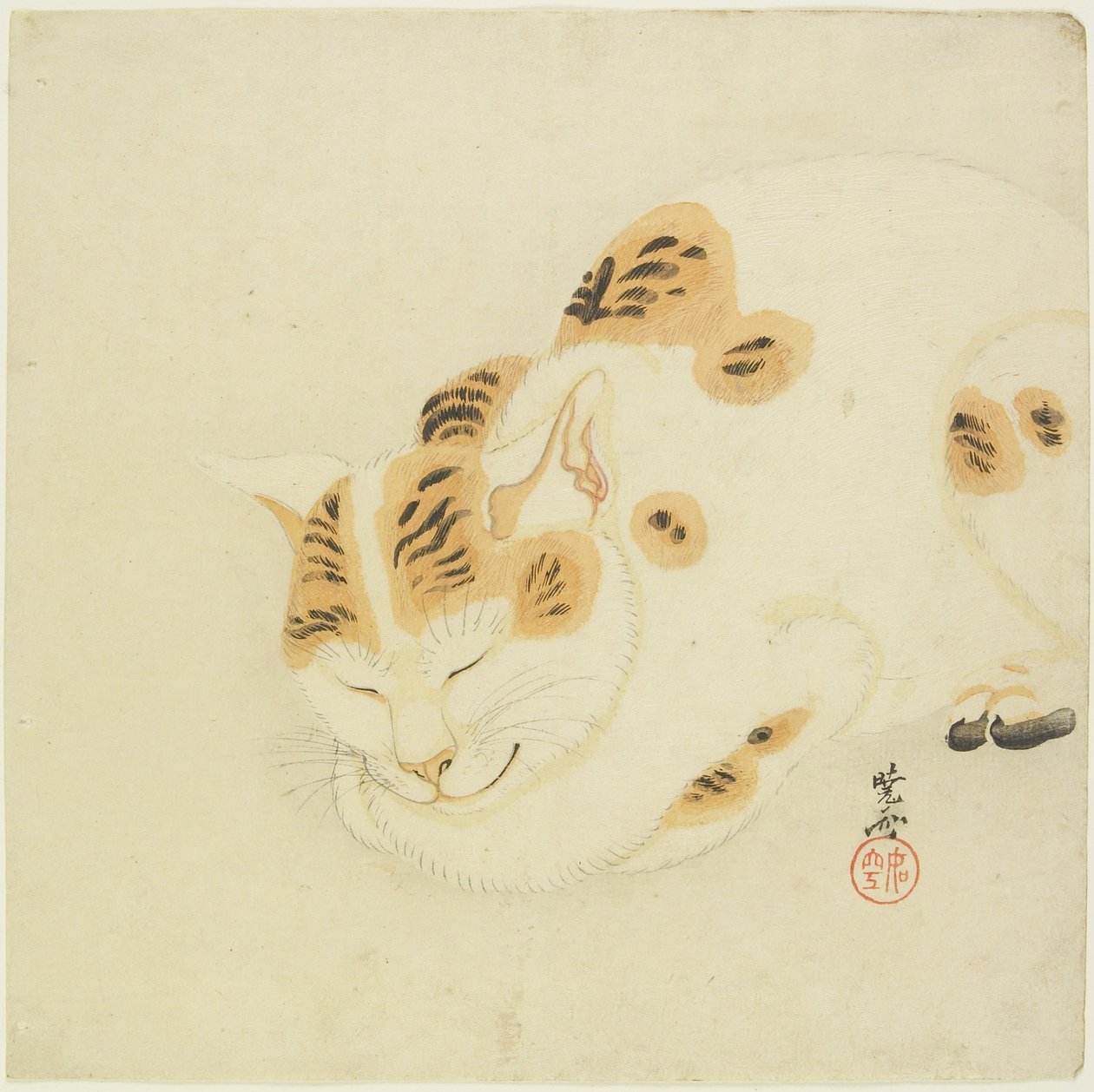睡猫 作者 川边京菜