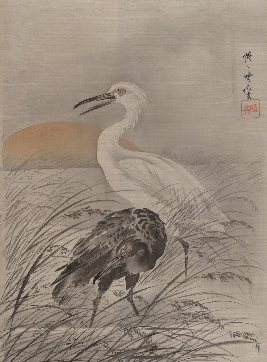 起重机在沼泽，ca。 1887年。 作者 川边京菜