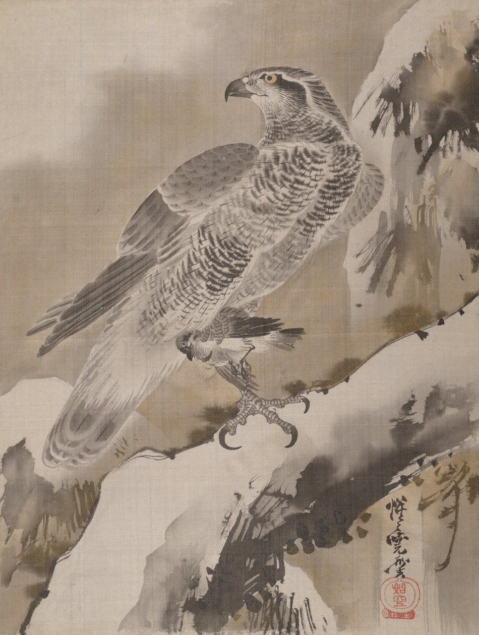 鹰控股小鸟，约。 1887年。 作者 川边京菜