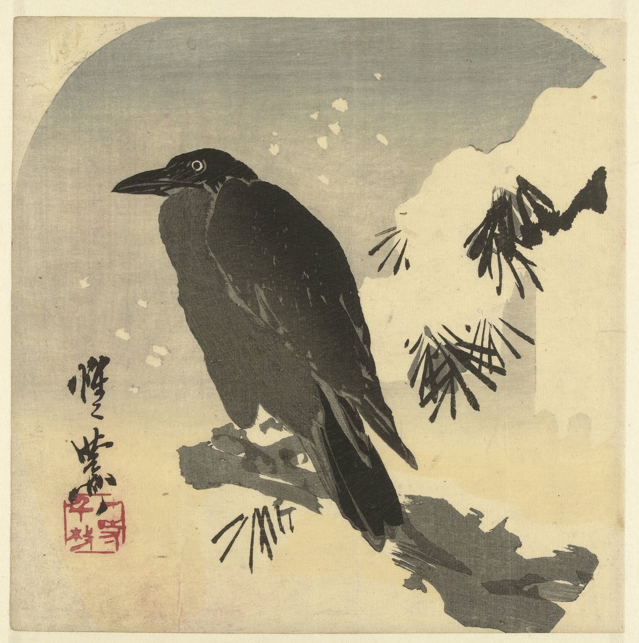 雪松枝上的乌鸦 作者 川边京菜