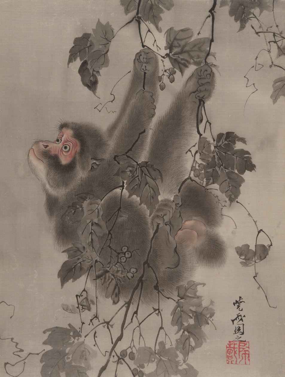 猴子挂在葡萄藤上，约。 1887年。 作者 川边京菜