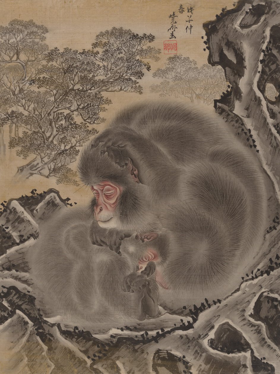 猴子，1888年3月。 作者 川边京菜