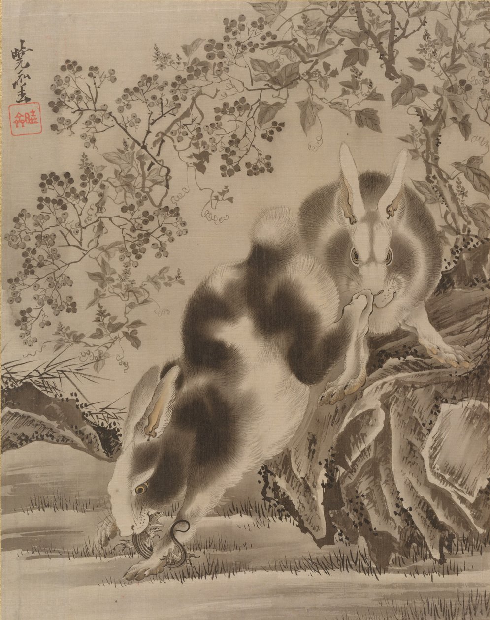 兔子，约。 1887年。 作者 川边京菜