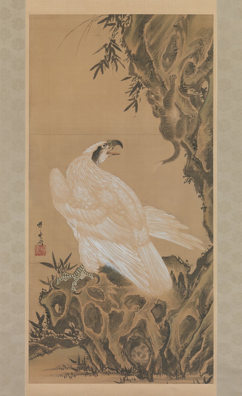 盯着山狮的白鹰，1885年。 作者 川边京菜