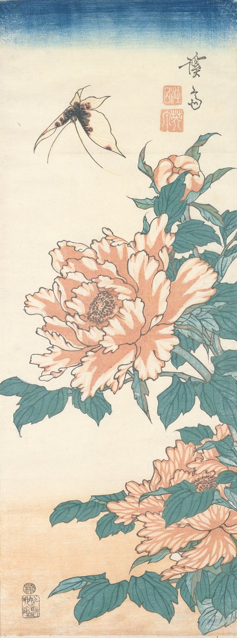 蝴蝶和树白芍 作者 京西铁
