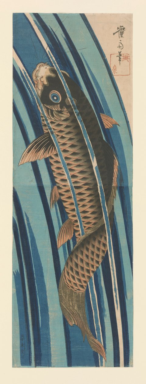 鲤鱼逆流而上 作者 京西铁