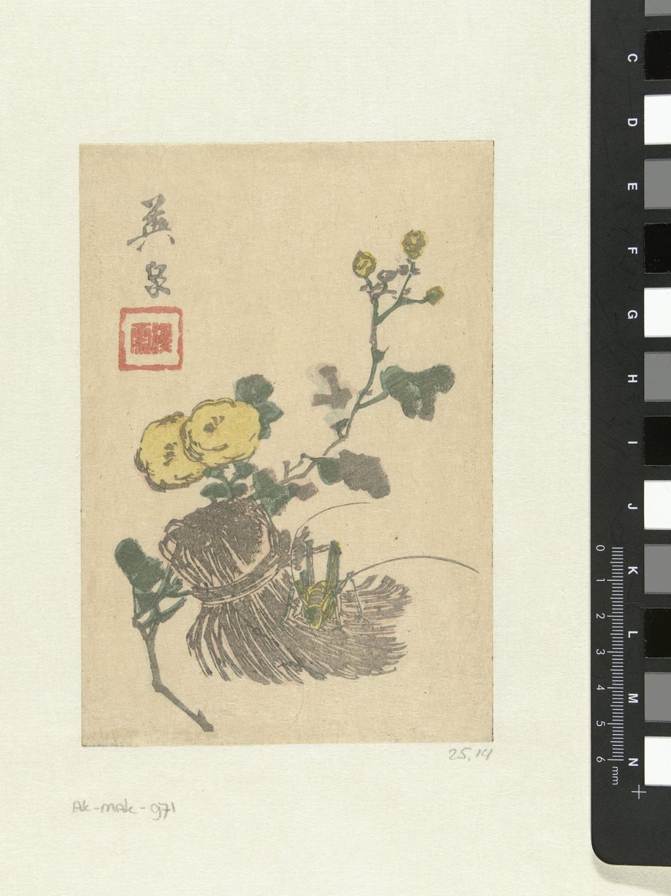 蚱蜢和花朵 作者 京西铁