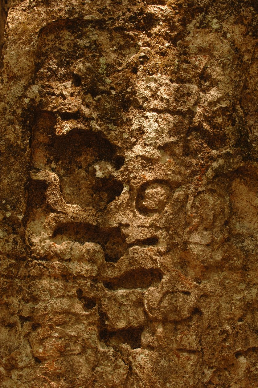 7319 Oxpemul；玛雅；古代文化；玛雅；墨西哥；玛雅生物圈保护区；Ivan Spr......，2004 年（照片） 作者 肯尼思·加勒特