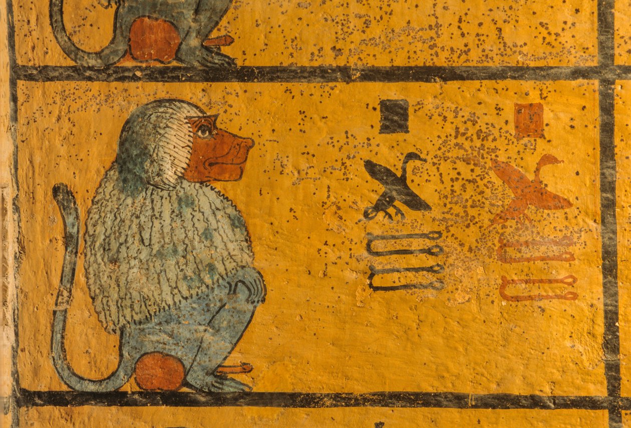 狒狒，图坦卡蒙国王墓中的壁画；KV52，帝王谷，底比斯，......，2003 年（照片） 作者 肯尼思·加勒特