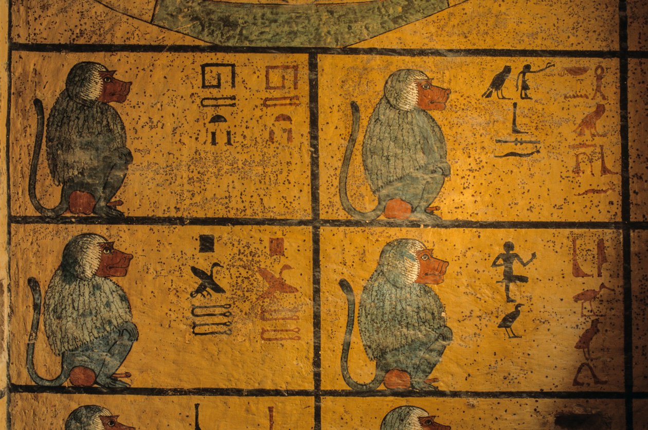 狒狒，图坦卡蒙国王墓中的壁画；KV52，帝王谷，底比斯......，2003 年（照片） 作者 肯尼思·加勒特