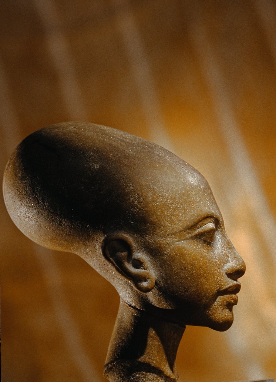 2009 年，埃及阿玛尔纳考古发现的公主复合石首（照片） 作者 肯尼思·加勒特