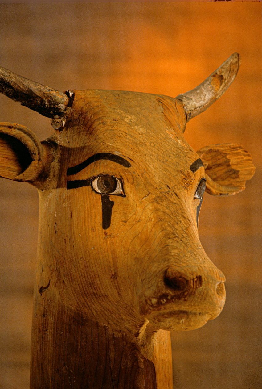 牛头雕塑，KV35；阿蒙霍特普二世，2009 年（照片） 作者 肯尼思·加勒特