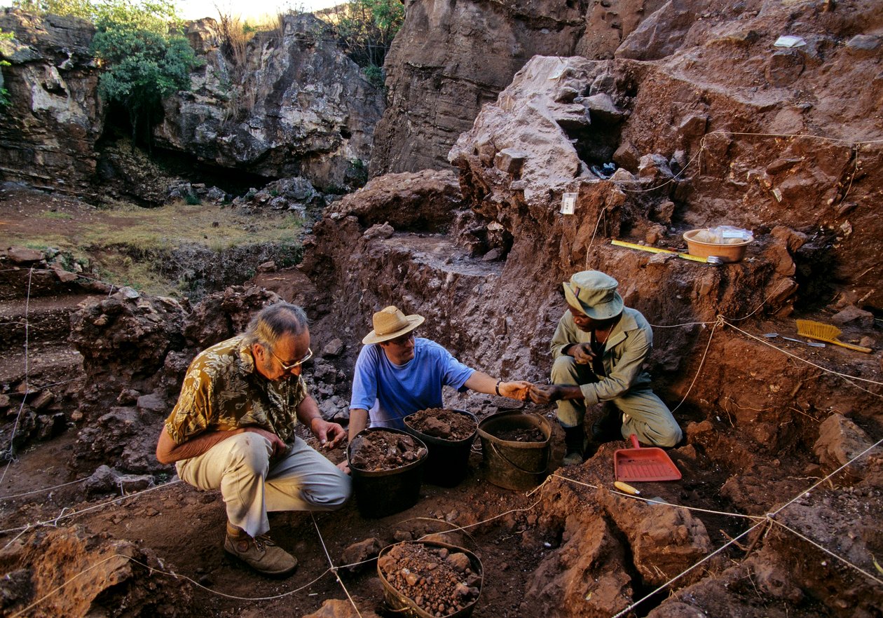 南非约翰内斯堡附近的德里莫兰遗址，200 万年前的类人猿 作者 肯尼思·加勒特