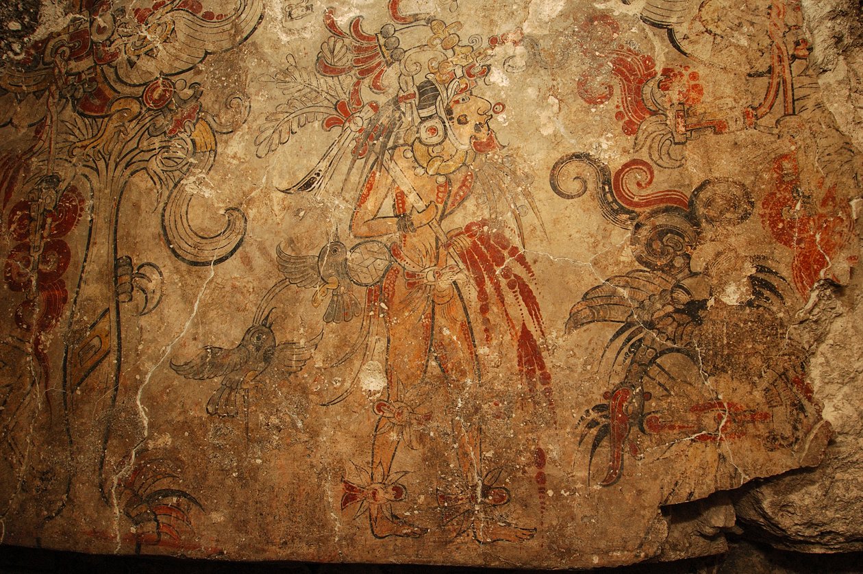 玛雅；玛雅壁画；圣巴托洛；危地马拉；比尔-萨图诺博士，2005 年（照片） 作者 肯尼思·加勒特