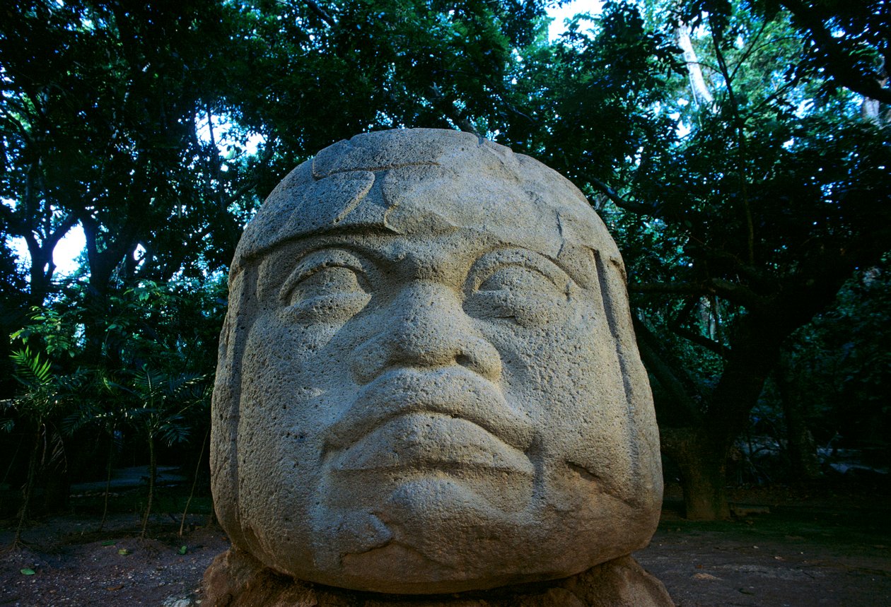 奥尔梅克；墨西哥；古代文化；美洲；考古学；文物；拉文塔；奥尔梅克人头像 作者 肯尼思·加勒特