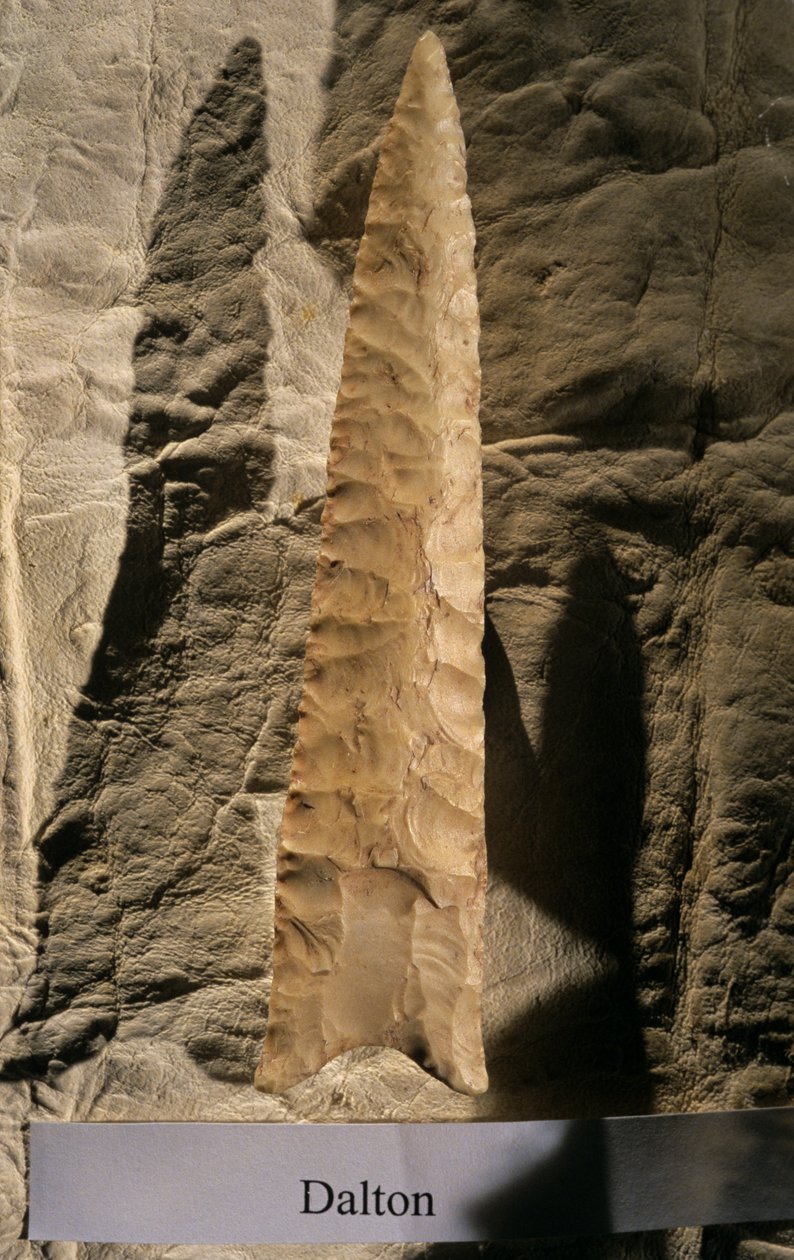 美洲拓荒，道尔顿角，丹尼斯-斯坦福，史密森工具收藏，2008 年（照片） 作者 肯尼思·加勒特