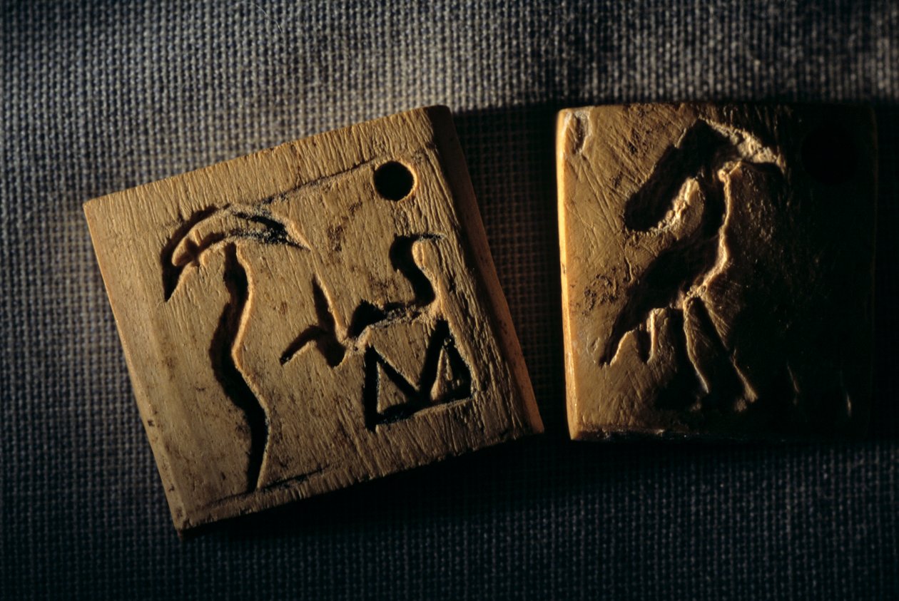 前王朝象牙标签，最早的文字，冈特-德雷尔博士，埃及，2005 年（照片） 作者 肯尼思·加勒特