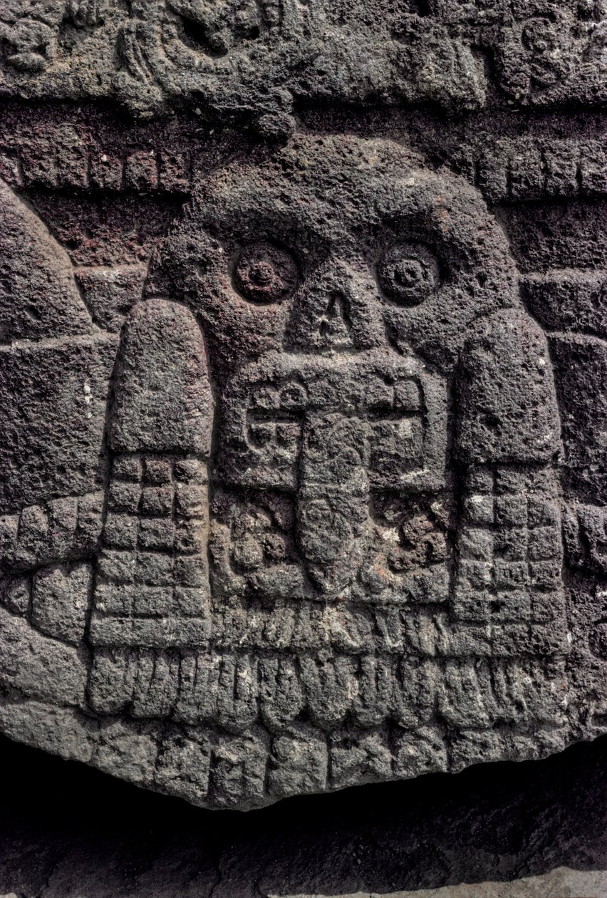 骷髅和蛇雕刻，特诺奇蒂特兰，Templo Mayor，阿兹特克，墨西哥，墨西哥城，Gr..., 2010（照片） 作者 肯尼思·加勒特