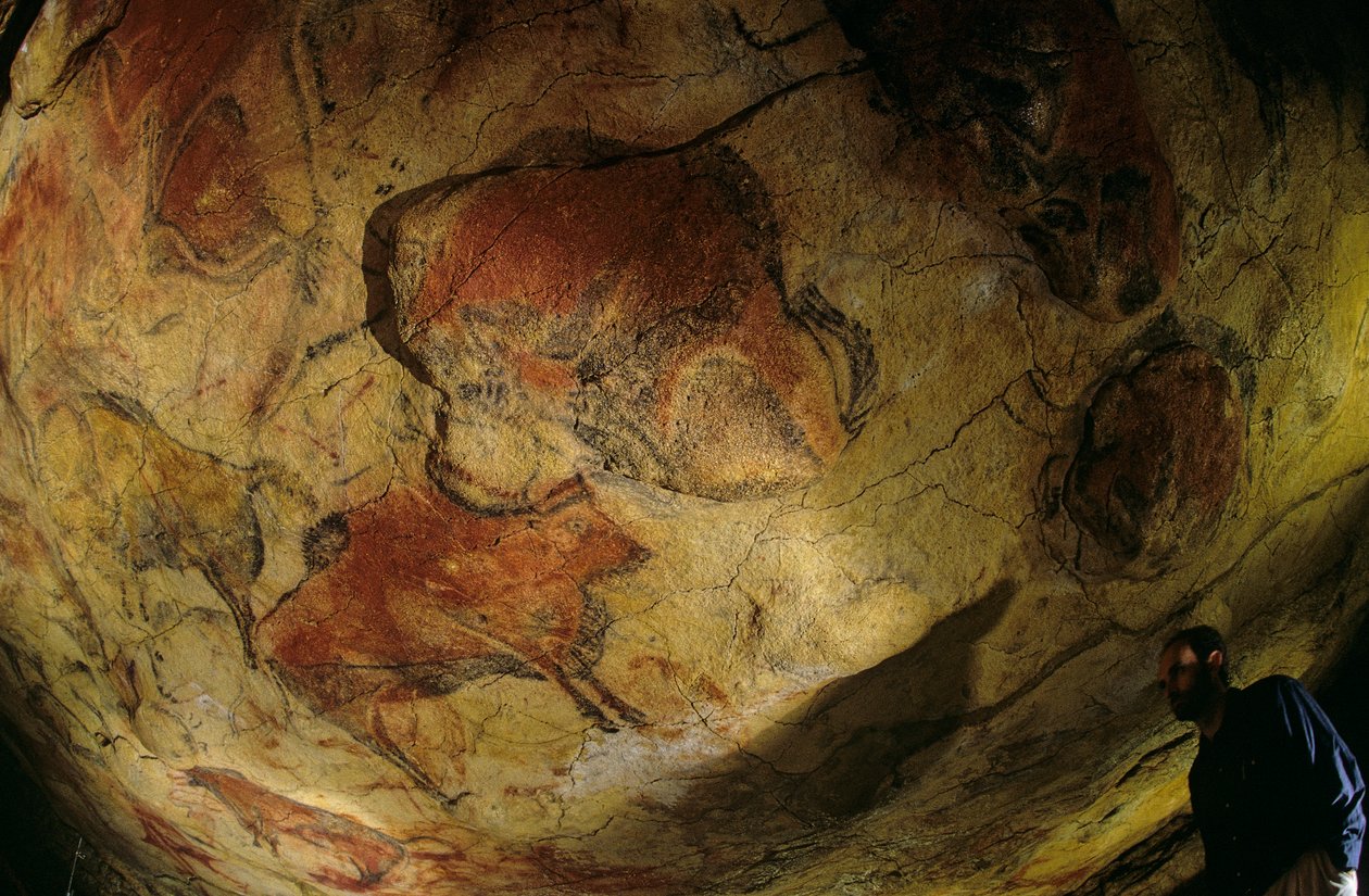 野牛画廊，阿尔塔米拉洞穴，西班牙，2000 年（照片） 作者 肯尼思·加勒特