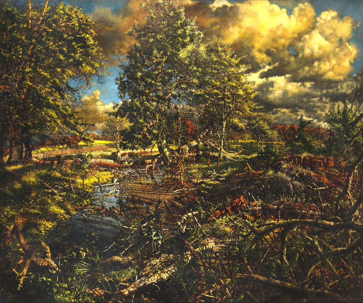 伯恩公园Nailbourne Spring Stream 作者 肯尼斯·牛顿