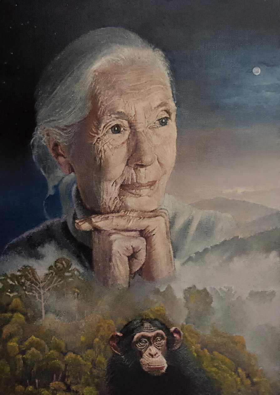 我们息息相关（珍-古道尔的智慧）（绘画） 作者 凯文·帕里什