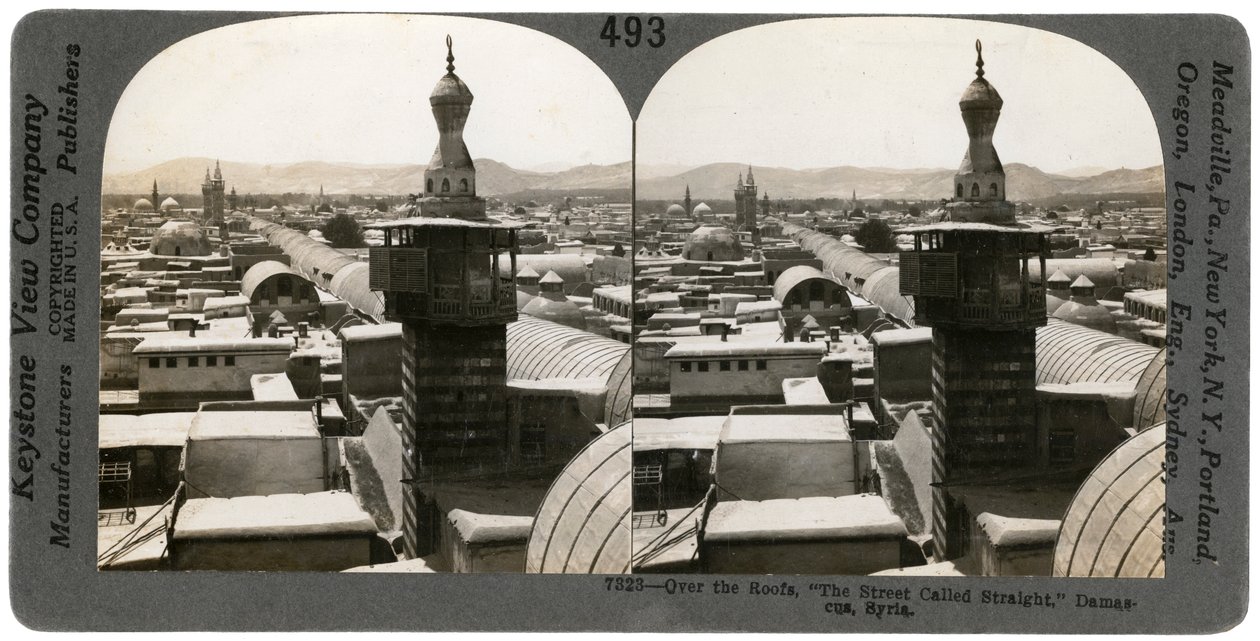 1900年代叙利亚大马士革。 作者 Keystone View公司