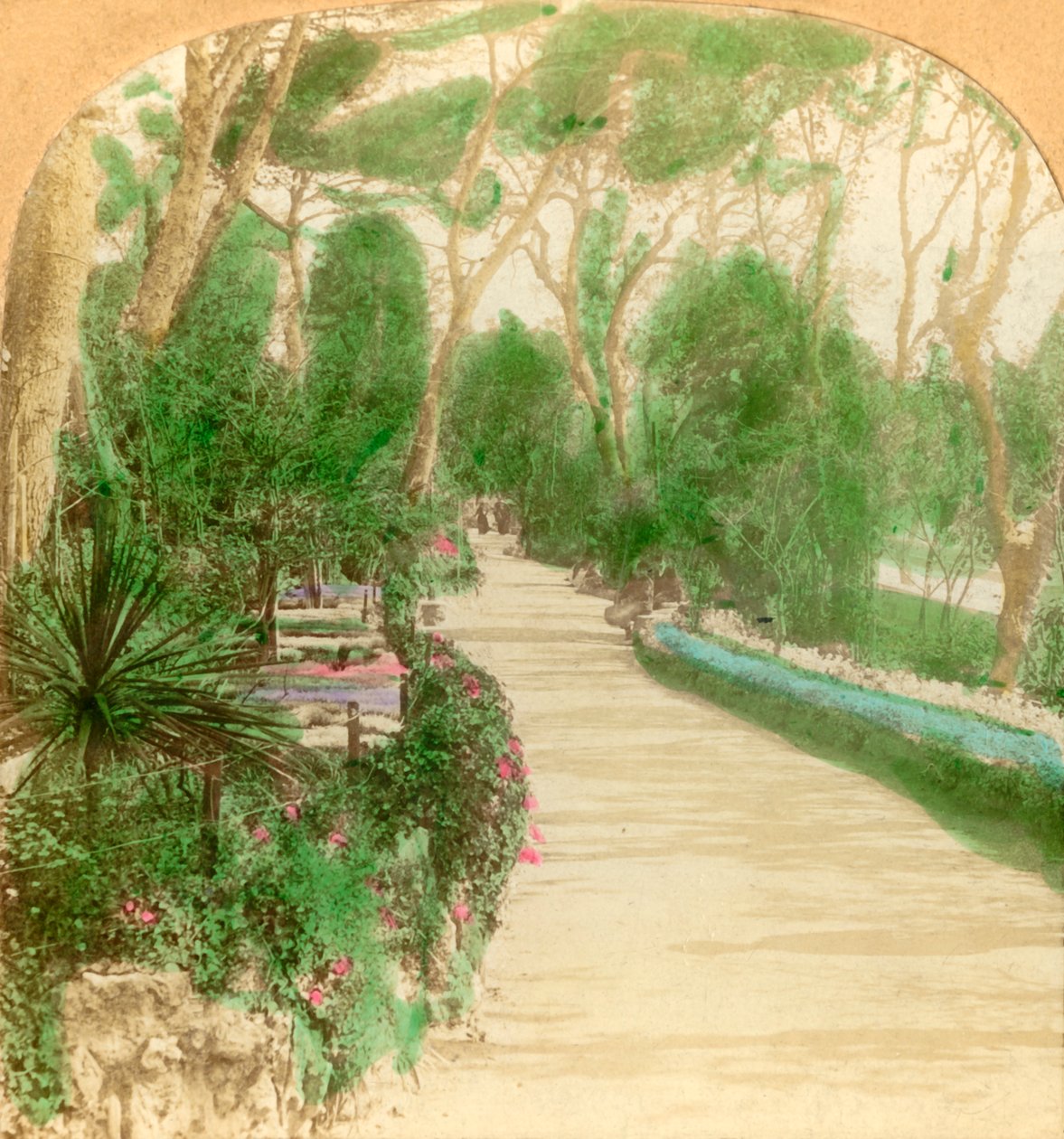 长廊，阿拉米达花园，直布罗陀岩，1896年。 作者 Keystone View公司
