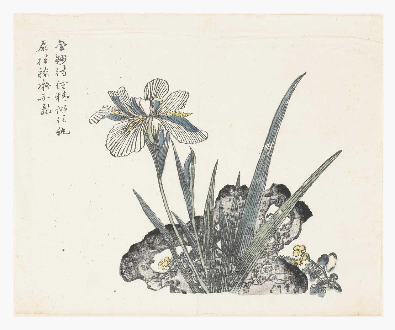芥菜籽园 作者 基昌
