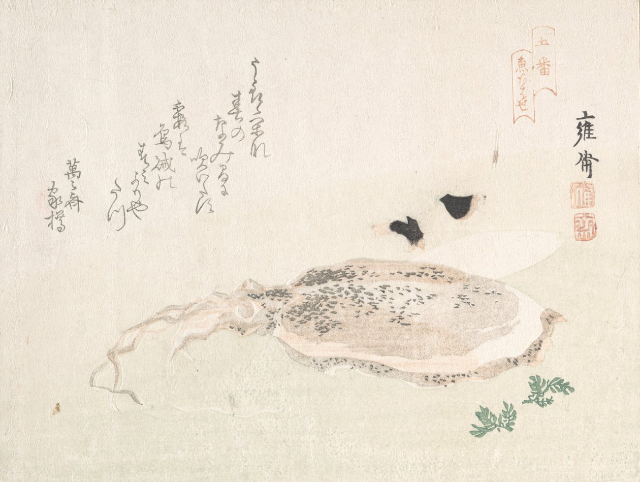 乌龟鱼，19世纪初。 作者 菊地洋斋