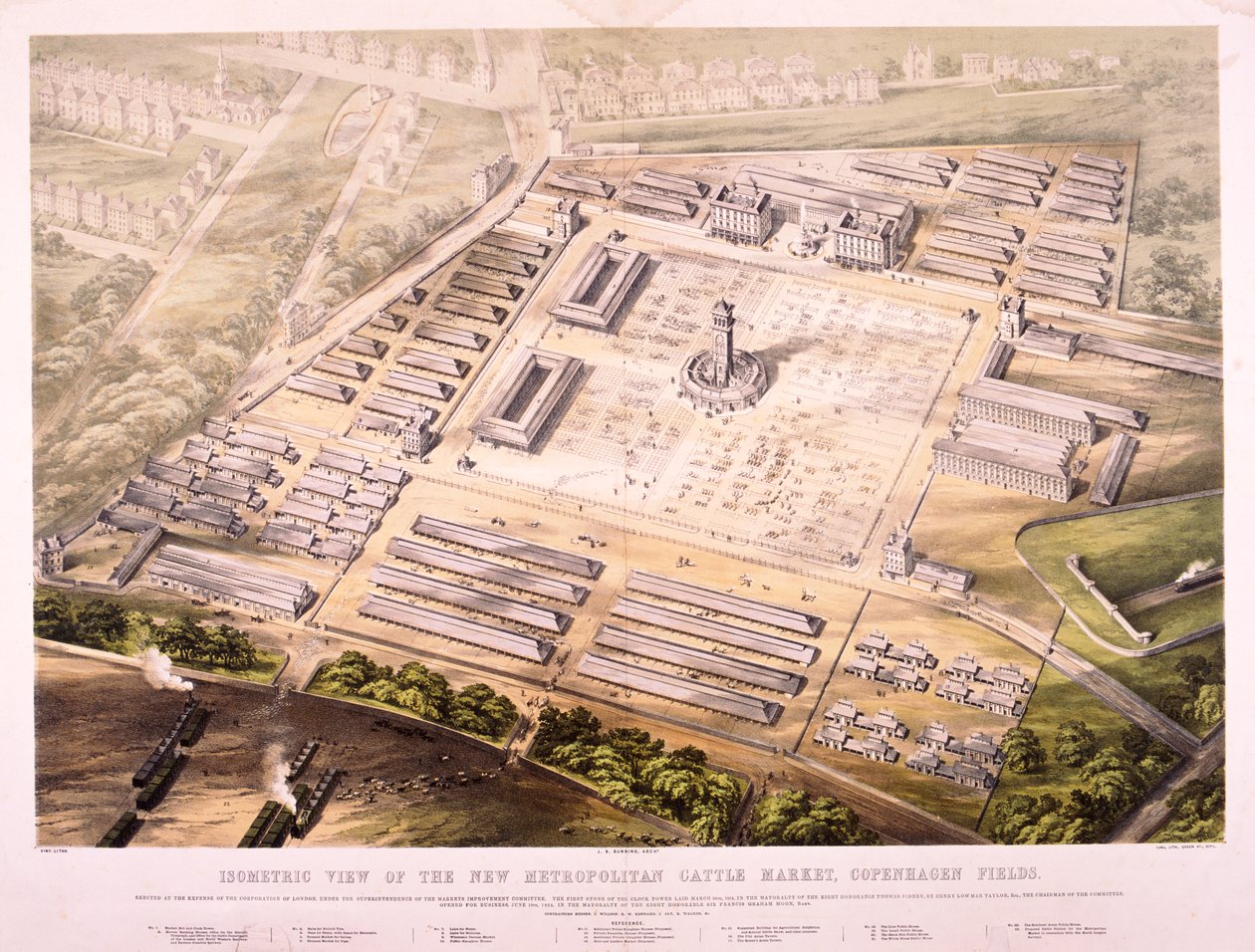 大都会牛市，伦敦，1855年 作者 王