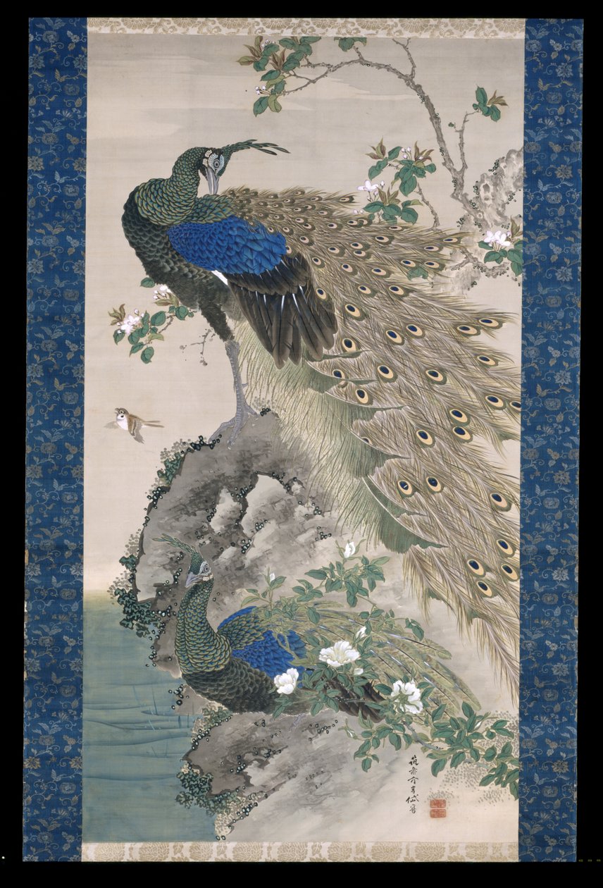 岩石上的樱桃-苹果和孔雀（绢本水墨和色彩） 作者 岸氏岸