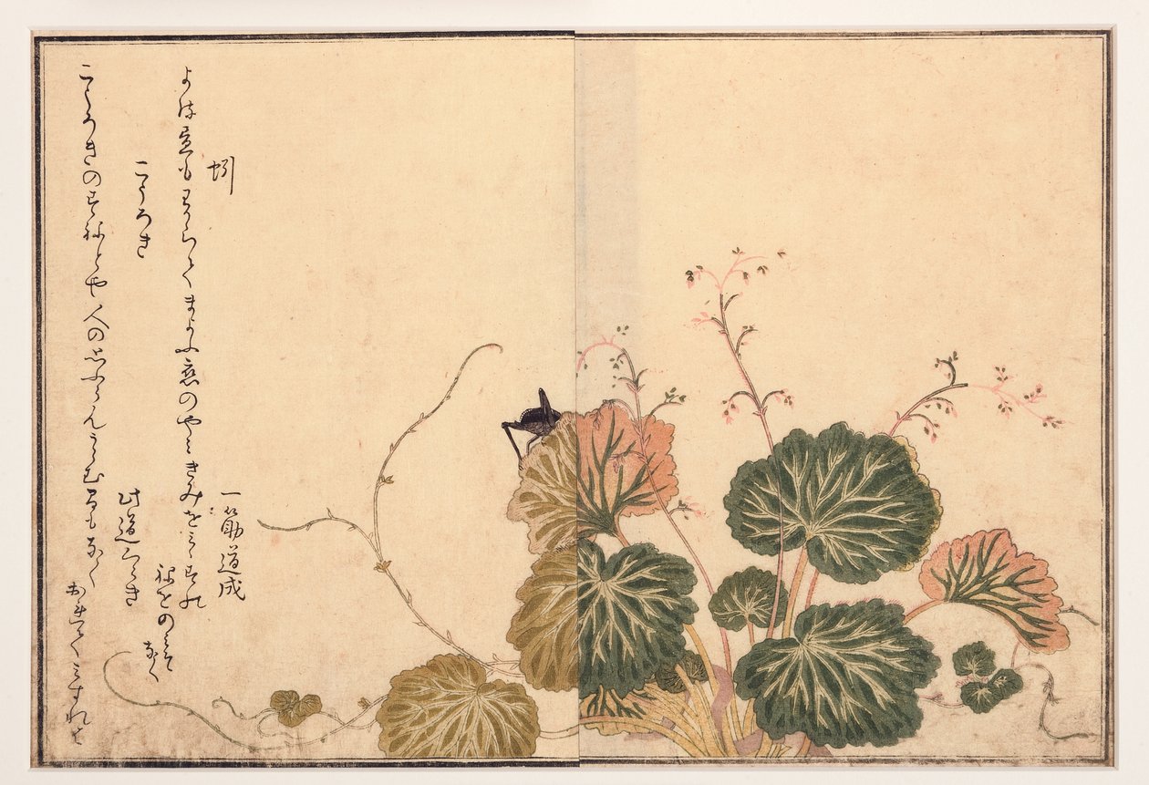 蚯蚓和黑蟋蟀，1788年（木刻） 作者 北川宇多郎