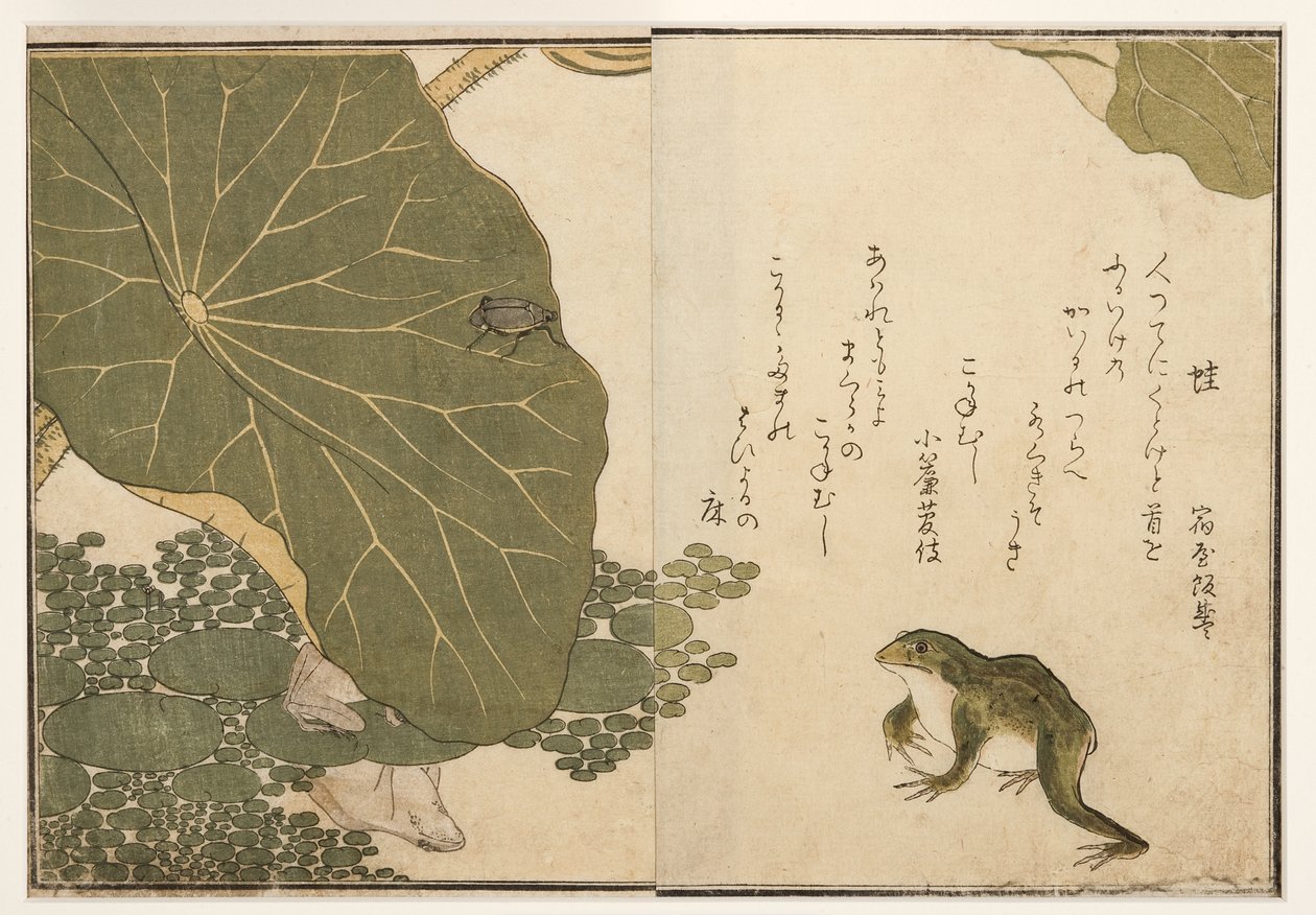 青蛙和金色昆虫甲虫，1788（木刻） 作者 北川宇多郎