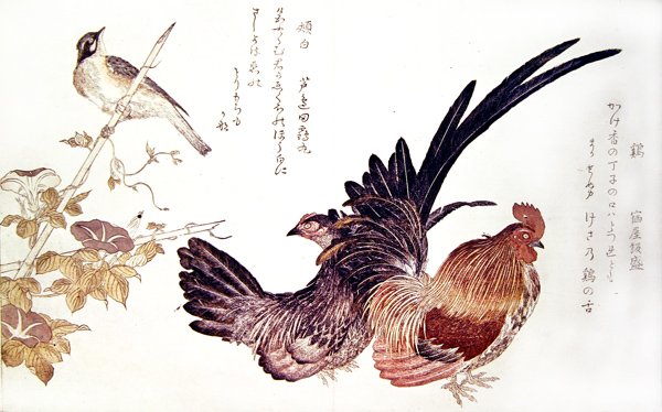 竹笋上的母鸡、公鸡和日本鹀，约 1791 年（彩色木刻版画） 作者 北川宇多郎