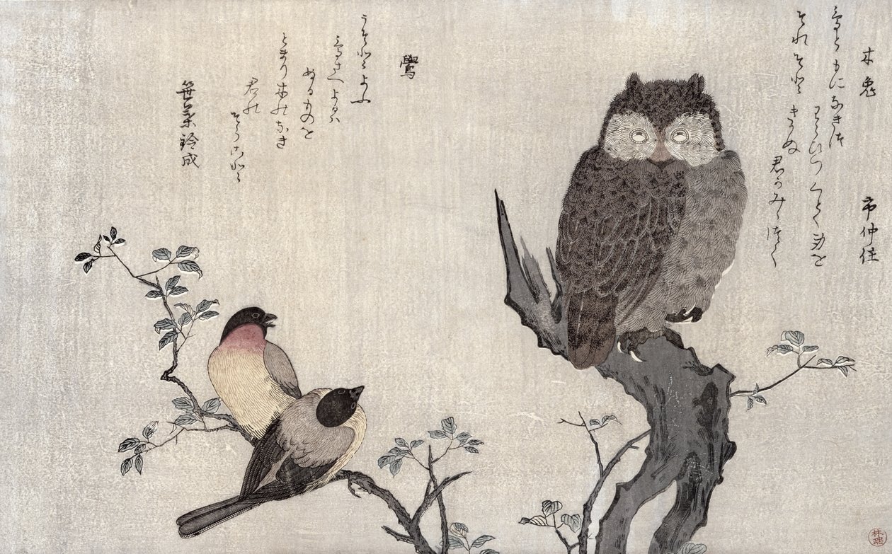 一张猫头鹰和两只东方红腹灰雀，来自专辑“幽默歌曲中的鸟类比较，100和1000只鸟的诗歌比赛”，1791（彩色木版画） 作者 北川宇多郎