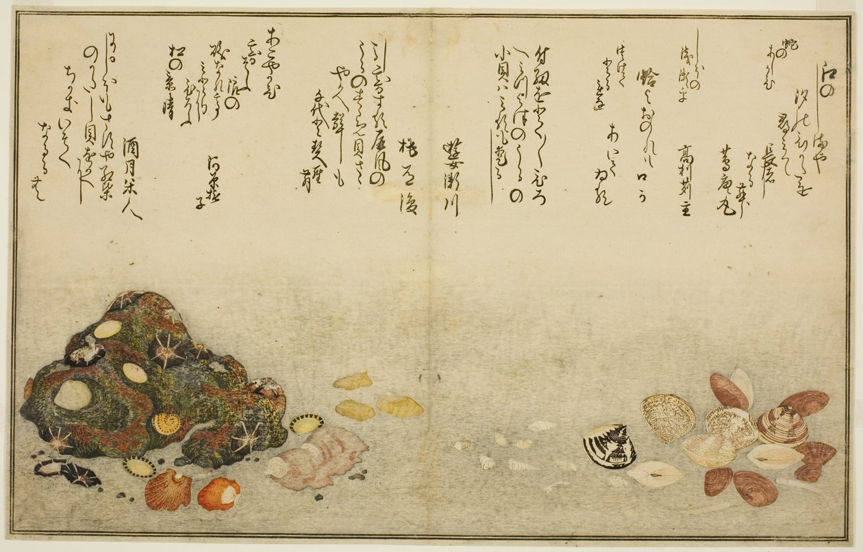 芦柴、浜栗、芋柴、铃木柴、赤屋柴和片柴，选自绘本《退潮的礼物（汐之つとと）》。 作者 北川宇多郎