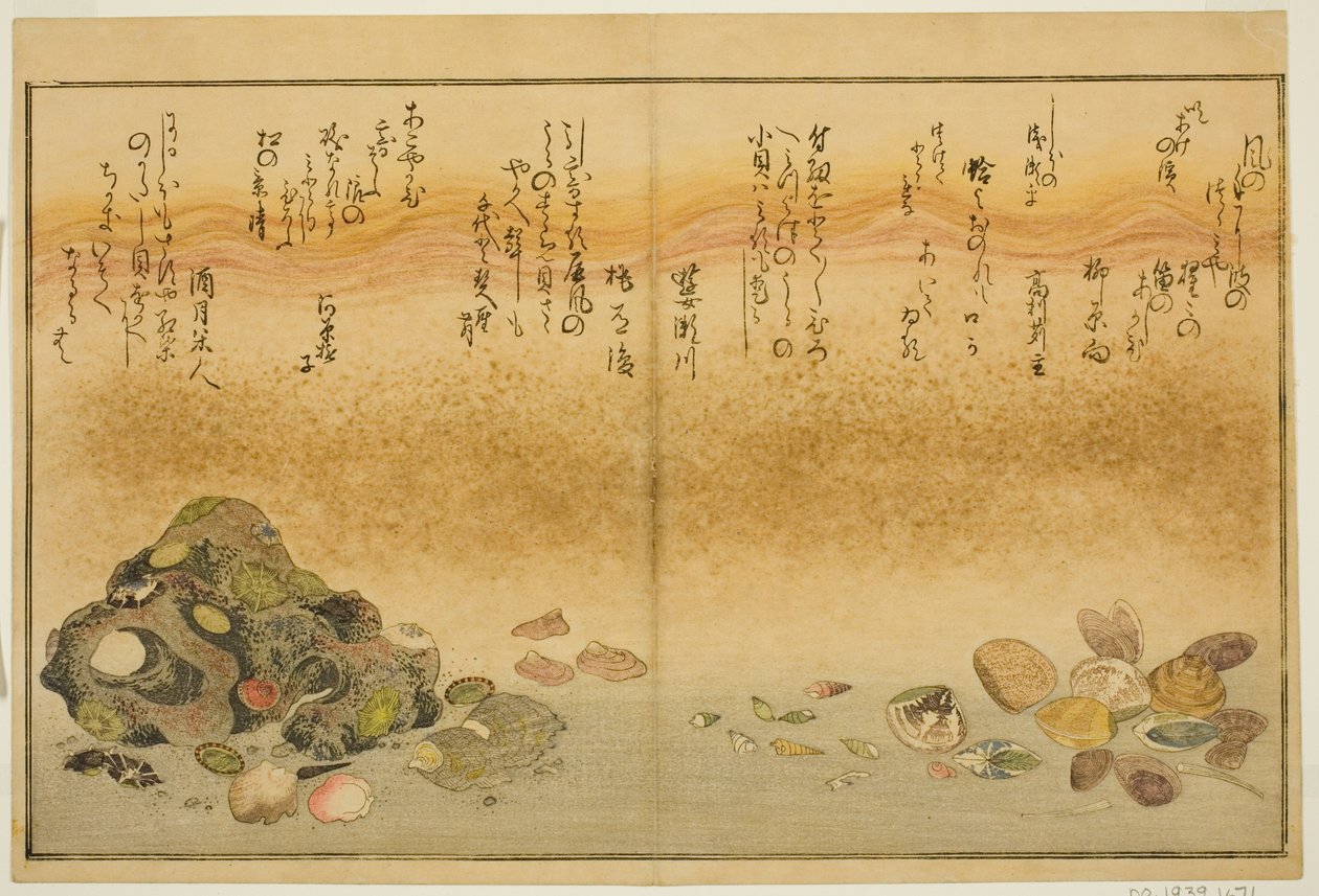 芦柴、浜栗、芋柴、铃木柴、赤屋柴和片柴，选自绘本《退潮的礼物（汐之つとと）》。 作者 北川宇多郎