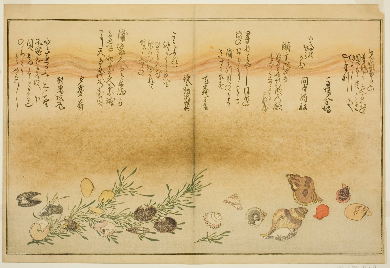 绘本 "退潮的礼物（潮汐之图）"中的 "Beni-gai"、"Hora-gai"、"urauzu-gai"、"wasure-gai"、"chiyonohana-gai "和 "masuho-gai"。 作者 北川宇多郎