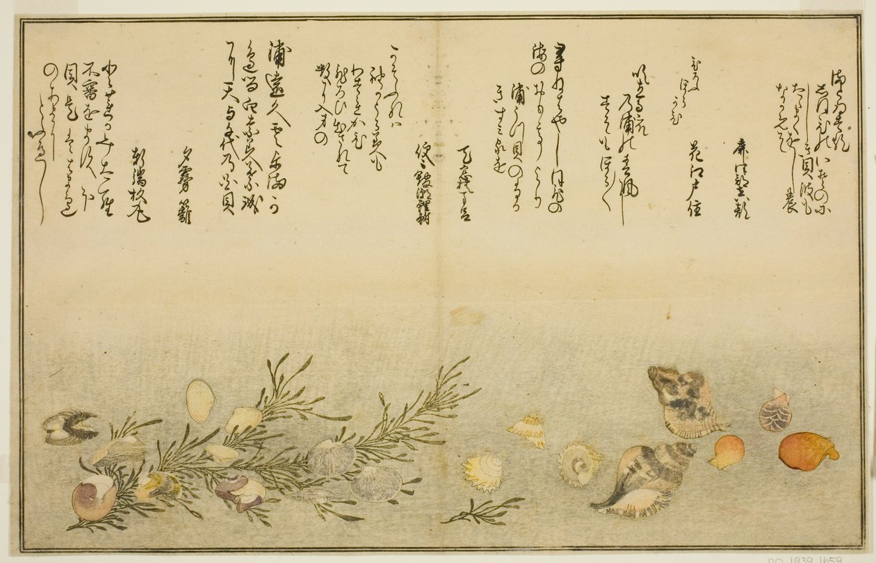 绘本 "退潮的礼物（潮汐之图）"中的 "Beni-gai"、"Hora-gai"、"urauzu-gai"、"wasure-gai"、"chiyonohana-gai "和 "masuho-gai"。 作者 北川宇多郎