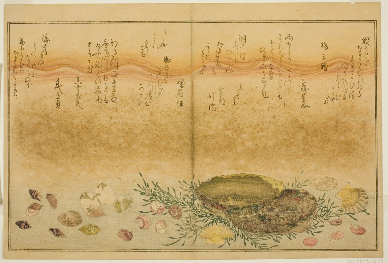 图画书 "退潮的礼物（潮汐之图）"中的 "千鸟"、"伊达屋"、"阿瓦比"、"宇都濑"、"麻里 "和 "单原"。 作者 北川宇多郎