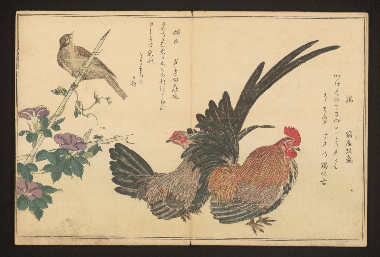 公鸡和彩旗 作者 北川宇多郎