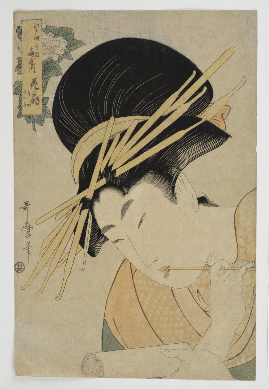 小宫家的花苑花木，1801年 作者 北川宇多郎