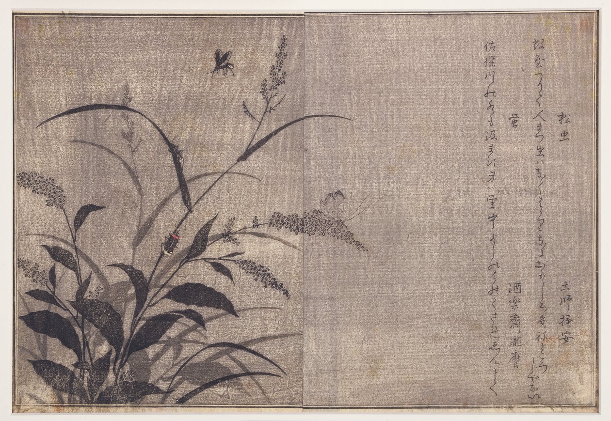 板球和萤火虫，1788（木刻） 作者 北川宇多郎