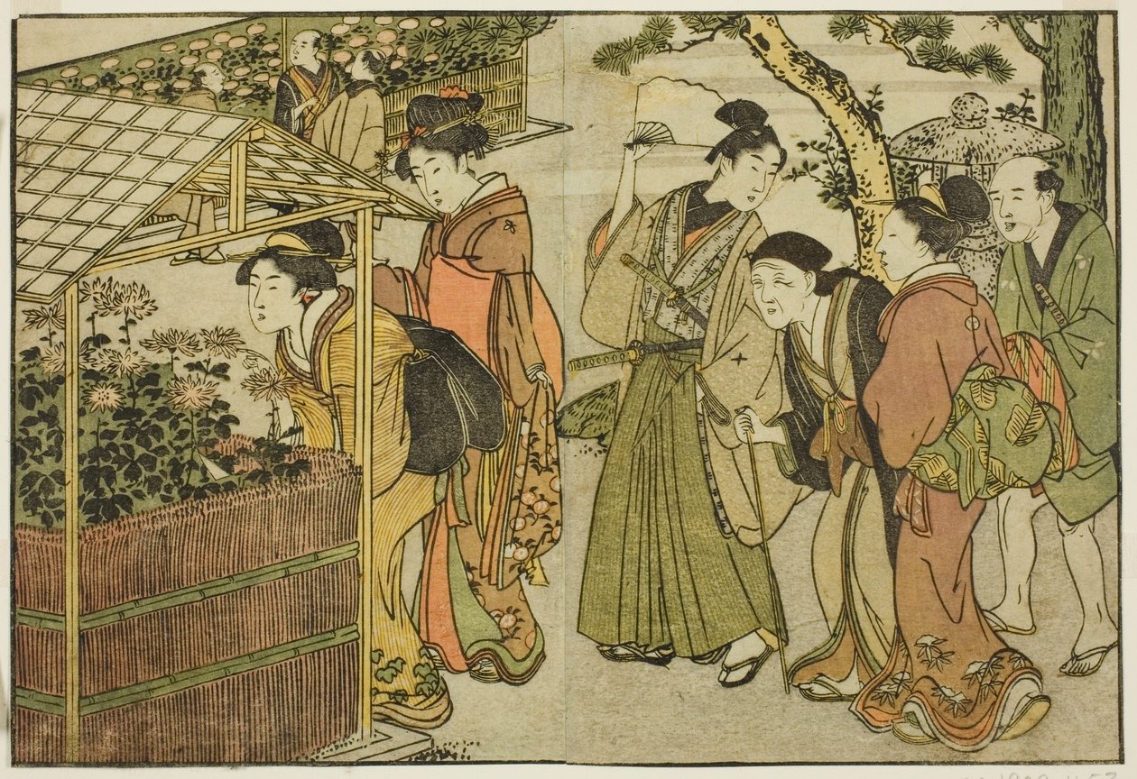 菊花的展示，选自绘本《图画书：四季之花（Ehon shiki no hana）"，第 2 卷 作者 北川宇多郎