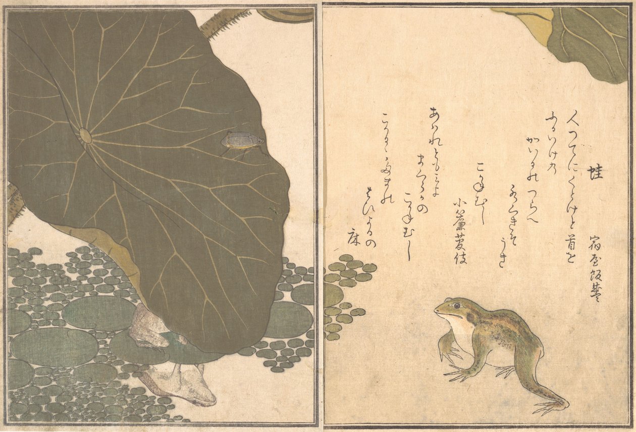 青蛙Kaeru，金甲虫Kogane mushi...，1788。 作者 北川宇多郎